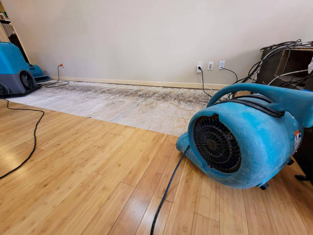 Professional Basement Flood Cleanup technician working in Hesperia, CA